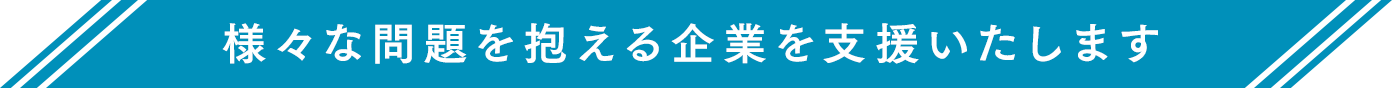 様々な問題を抱える企業を支援いたします​